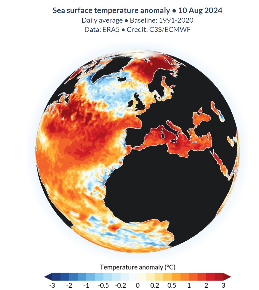 Dr. Serge Zaka (Dr. Zarge) tweet media