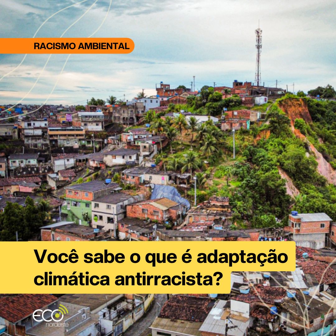 Entenda o conceito de  adaptação climática antirracista e veja como essa prática precisa se tornar realidade no Brasil:  bit.ly/4diw5g1
#criseclimatica #pernambuco #povostradicionais #racismoambiental