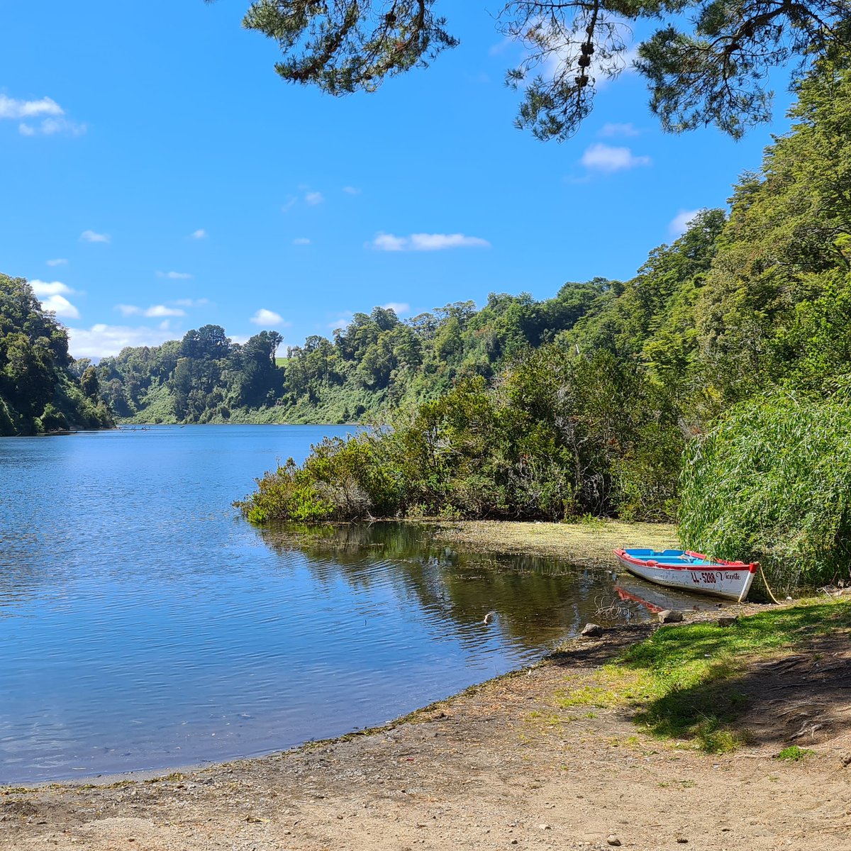"A menudo hay más restos de naufragios en el fondo de un alma que en el fondo del mar".
Víctor Hugo