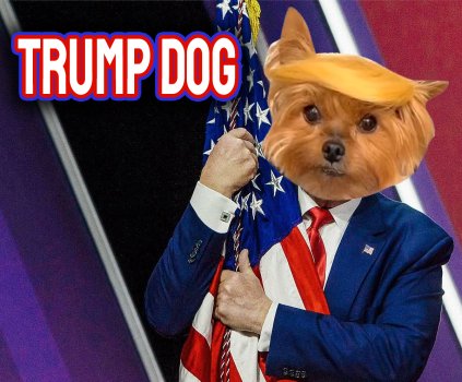 TRUMP DOG WILL SAVE AMERICA. $TDOG