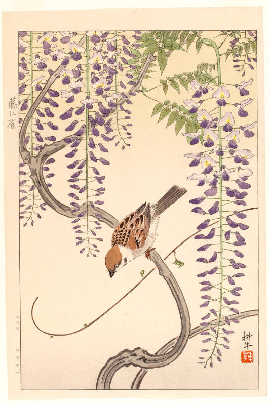 Sparrow and Wisteria, by Hayashi Shigeyuki, ca. 1930