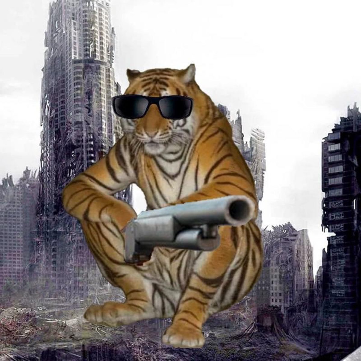 ThiccBoiChungo's tweet image. Put some respek on the tiger’s name $USDT