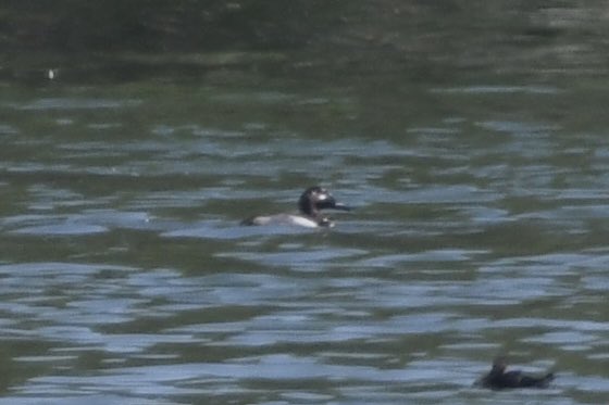 Stan Davis tweet media