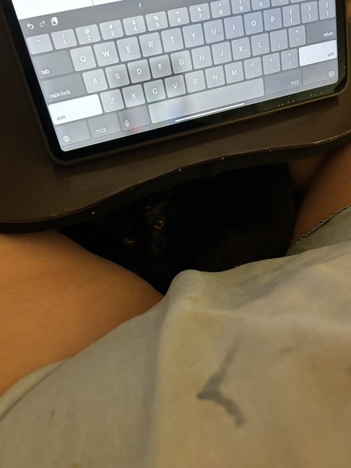 I&rsquo;m telling you! Zero space&hellip;  I am on my bed and she is there chilling! https://t.co/Fna8Vn4ds8