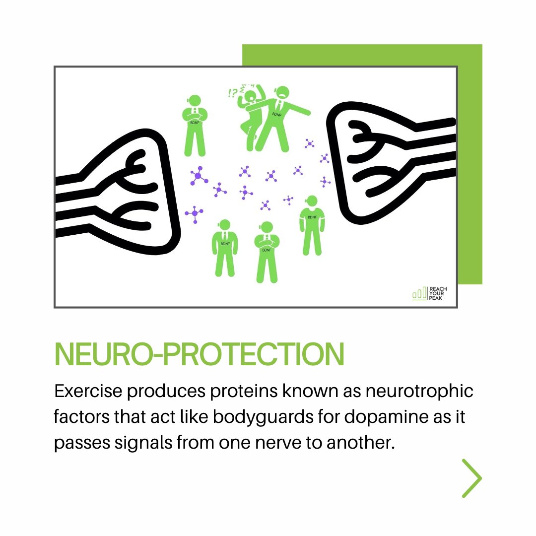 ReachYourPeak tweet media