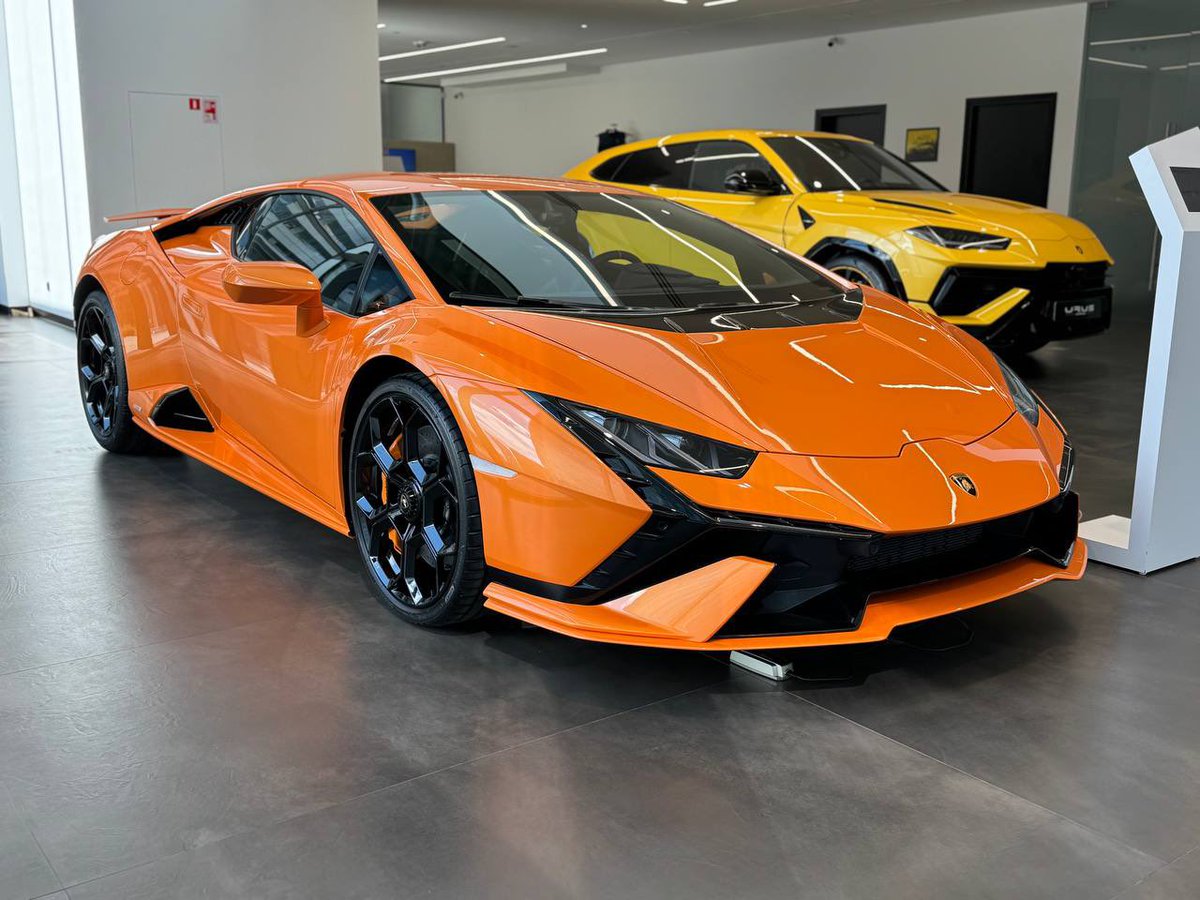 DmitryGreque's tweet image. NEW MY VIDEO 🎥

youtu.be/kn-L6uk0vnM