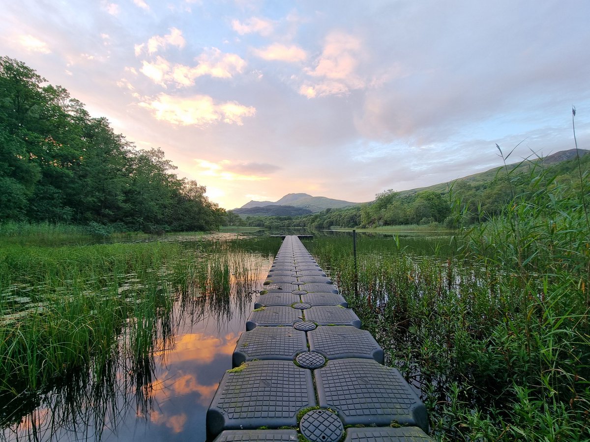 Chris Harrod tweet media