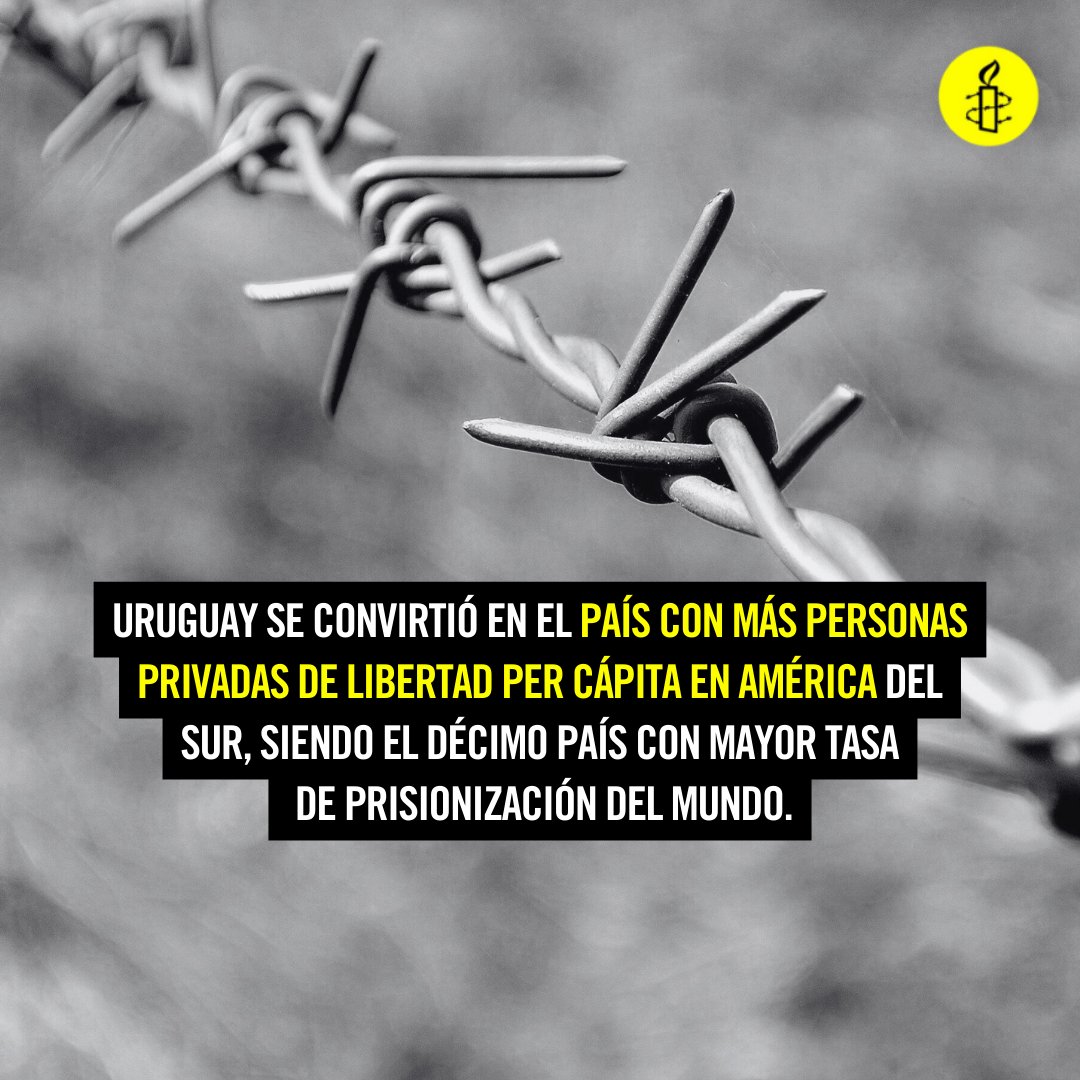 Amnistía Internacional Américas tweet media