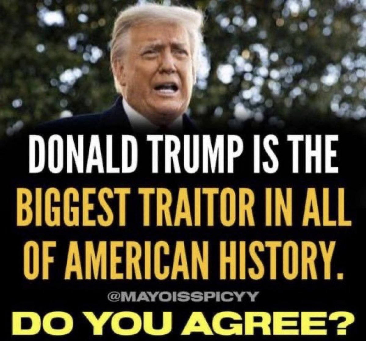 🌊💚Duck🦆Fu💛🌊 tweet media