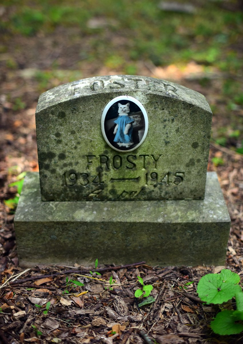 Monthofthedead's tweet photo. 💀😿 Fellow Mortals!
Pet Cemeteries and Animal Burials
Exciting news 
We have added another event with Dr Paul Koudanaris (author of the classics Empire of Death, Heavenly Bodies and Memento Mori)
Paul will talk + launch his new book “Faithful Unto Death’ https://t.co/gN0I6SmwdM https://t.co/ztFB3jof1X