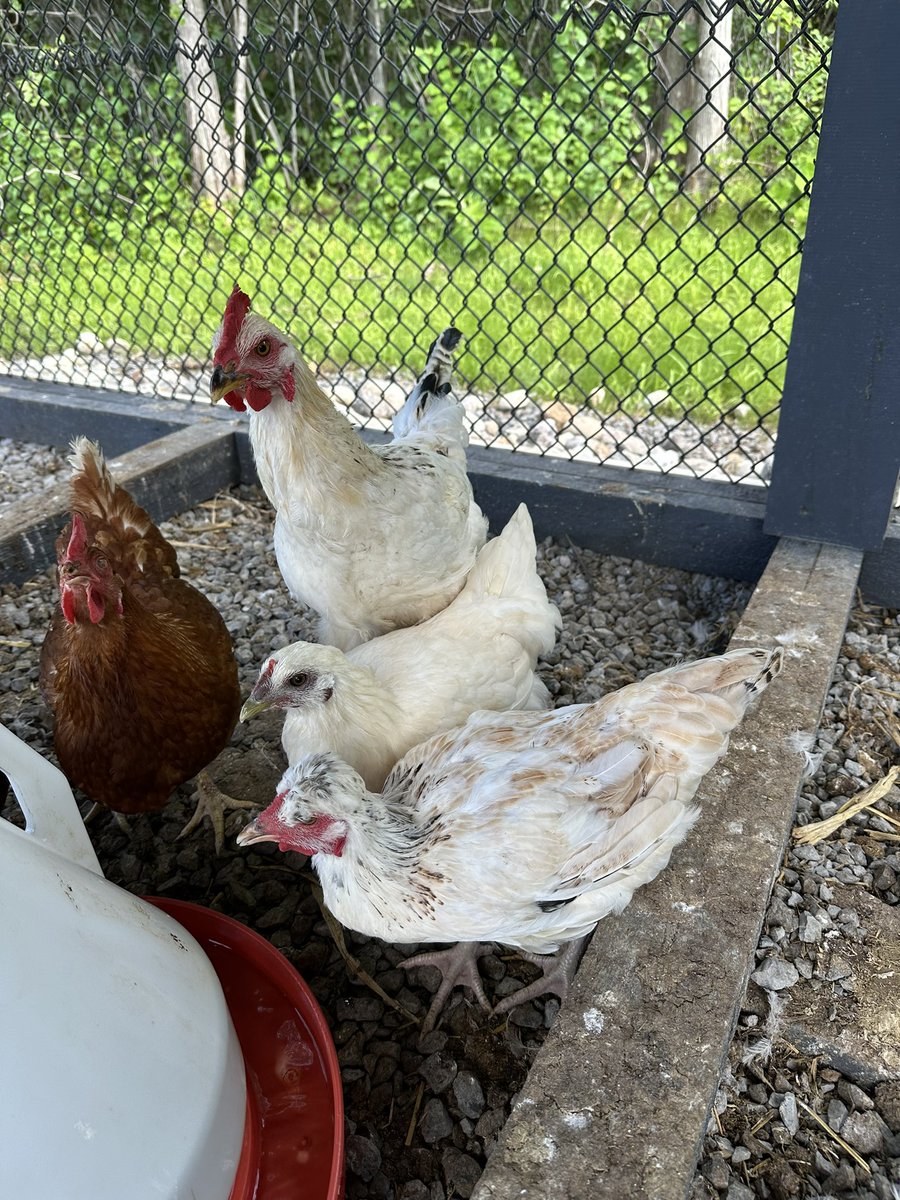 Ms. Delaney tweet media