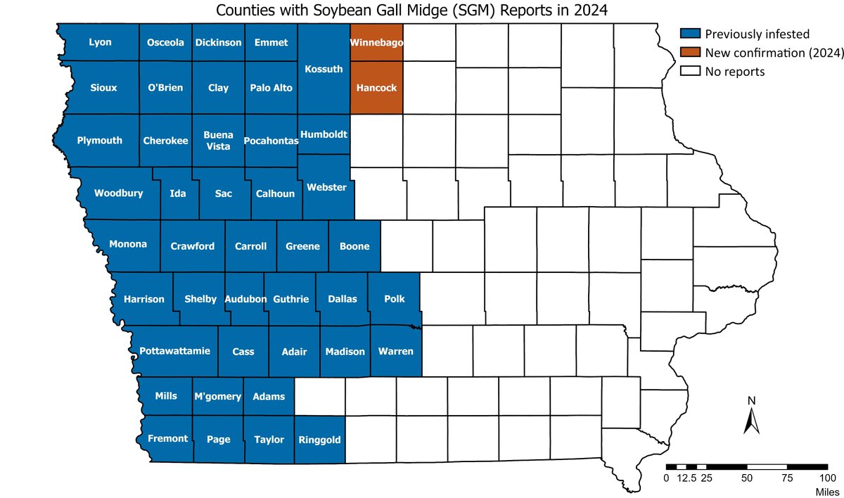 Now is a great time to scout for soybean gall midge, especially if you are looking for first detection on the farm (or in a county). Here is the current map of infested counties for Iowa. Two new counties have been confirmed this year so far.
<a href="/erinwhodgson/">Erin Hodgson</a>