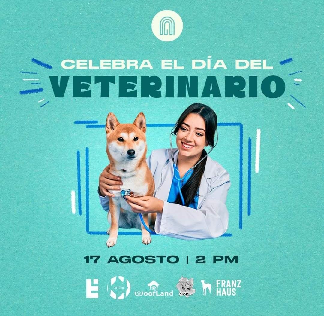 ArteeColor's tweet image. #Queretaro