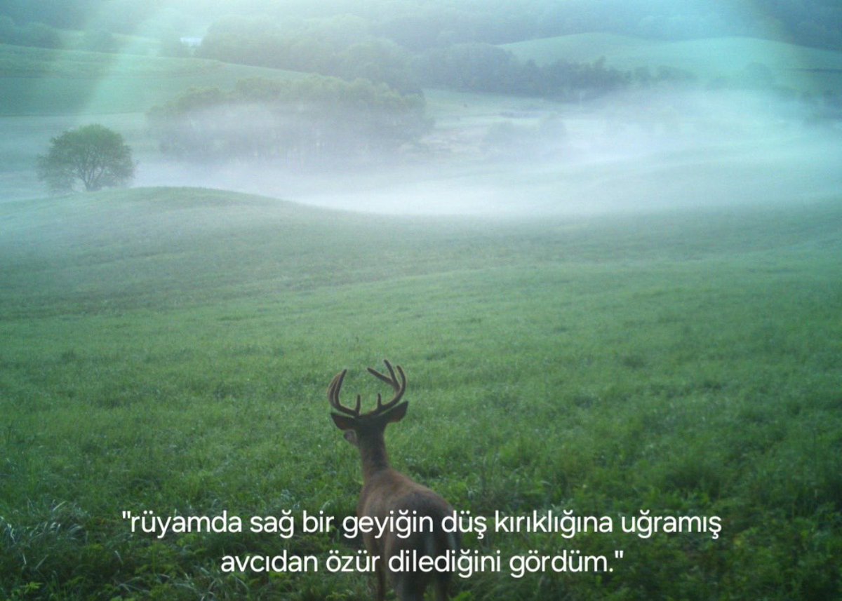projeksin atonal sanat (@projeksin) on Twitter photo 