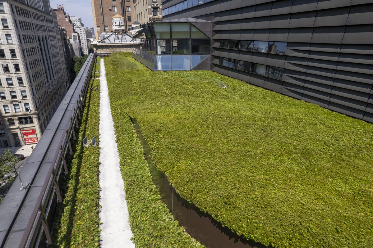 NYCWater's tweet image. 🟩 = 💰
#GreenRoofs like this one @TheNewSchool help manage stormwater and offset some of the heat generated by our urban grid. We can help property owners get funding to install this type of #GreenInfrastructure. That's double green! Learn more here: nyc.gov/dep/gigrantpro…