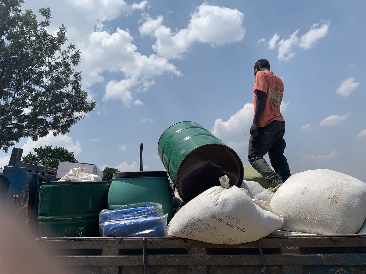 On this  International Youth Day, we honor the determination, creativity, and commitment of young people to improving their communities. A big thanks to <a href="/WFP_Uganda/">WFP Uganda</a> for the support that has enabled us train more farmers with focus on youths. 
#HappyInternationalYouthDay2024