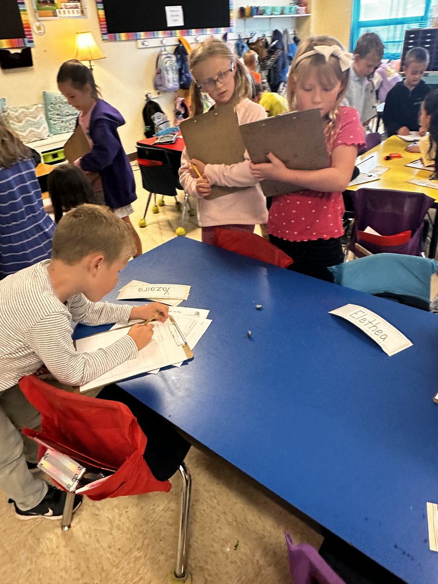 PPSEL_Bears's tweet photo. 2nd grade participated in a "Gallery Walk" to record their observations of artifacts that will help them build background knowledge for their fish expedition this semester. https://t.co/EyIYsKpERk