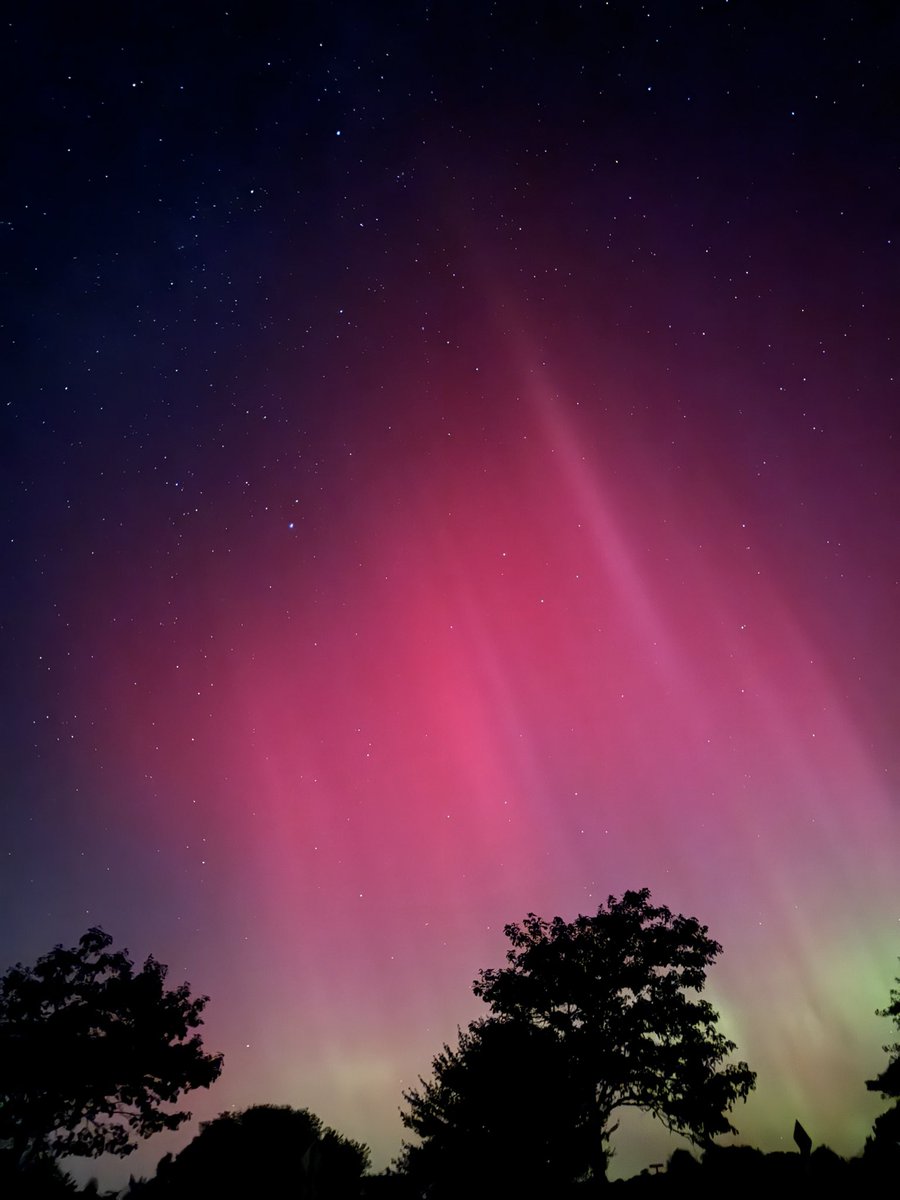 B.B TONY tweet media