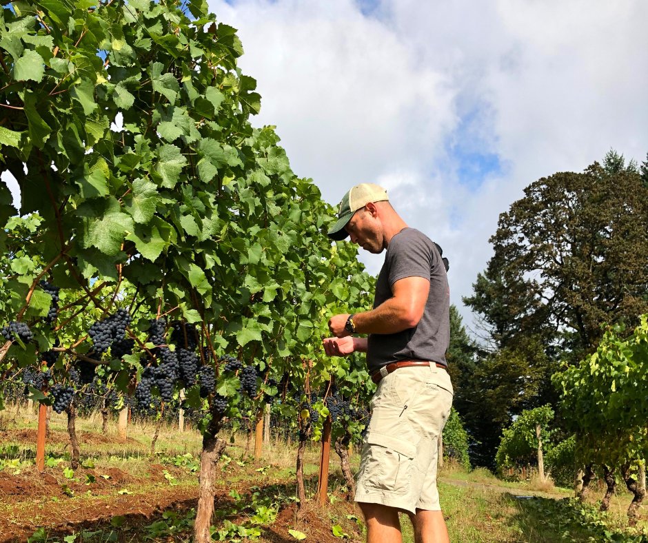 langewinery tweet media