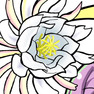 お花描いた