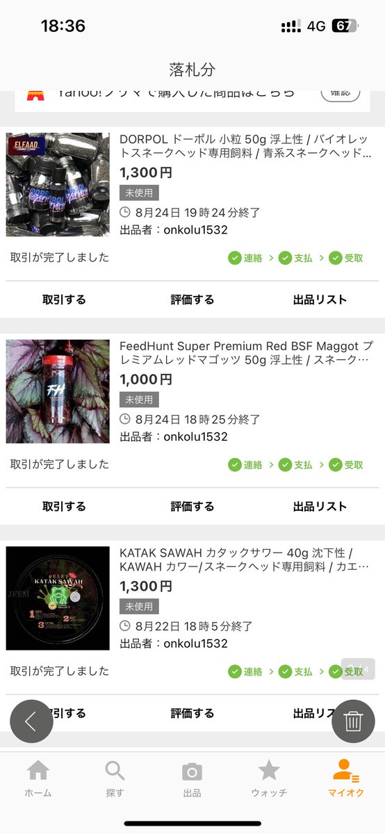 sh_0924759's tweet photo. #JFEM 様から先日購入し早速導入!するも…歌舞伎だけカタック食べない💀
本日追加でドーポル大きいの追加購入、餌のアップデートが止まりません🤟
#スネークヘッド
#アクアリウム https://t.co/3xRcOE4B5O