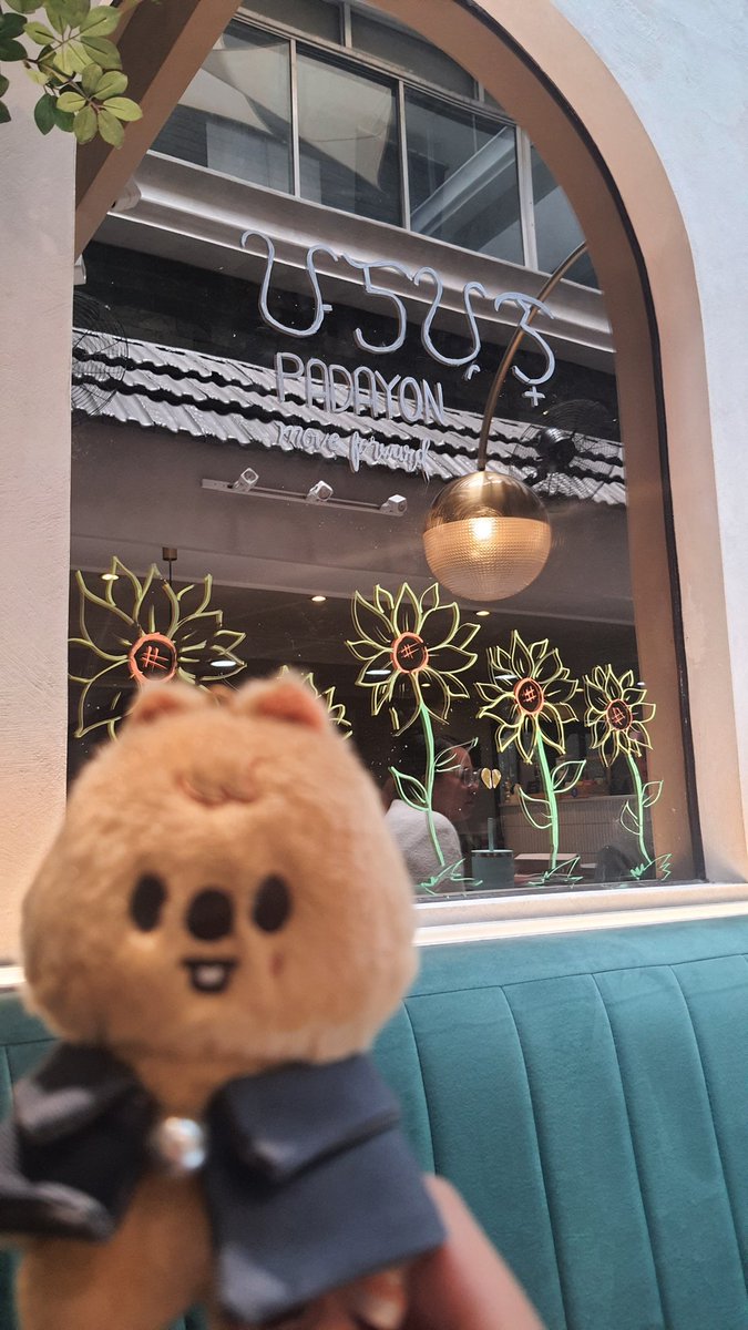 quokka in cafe