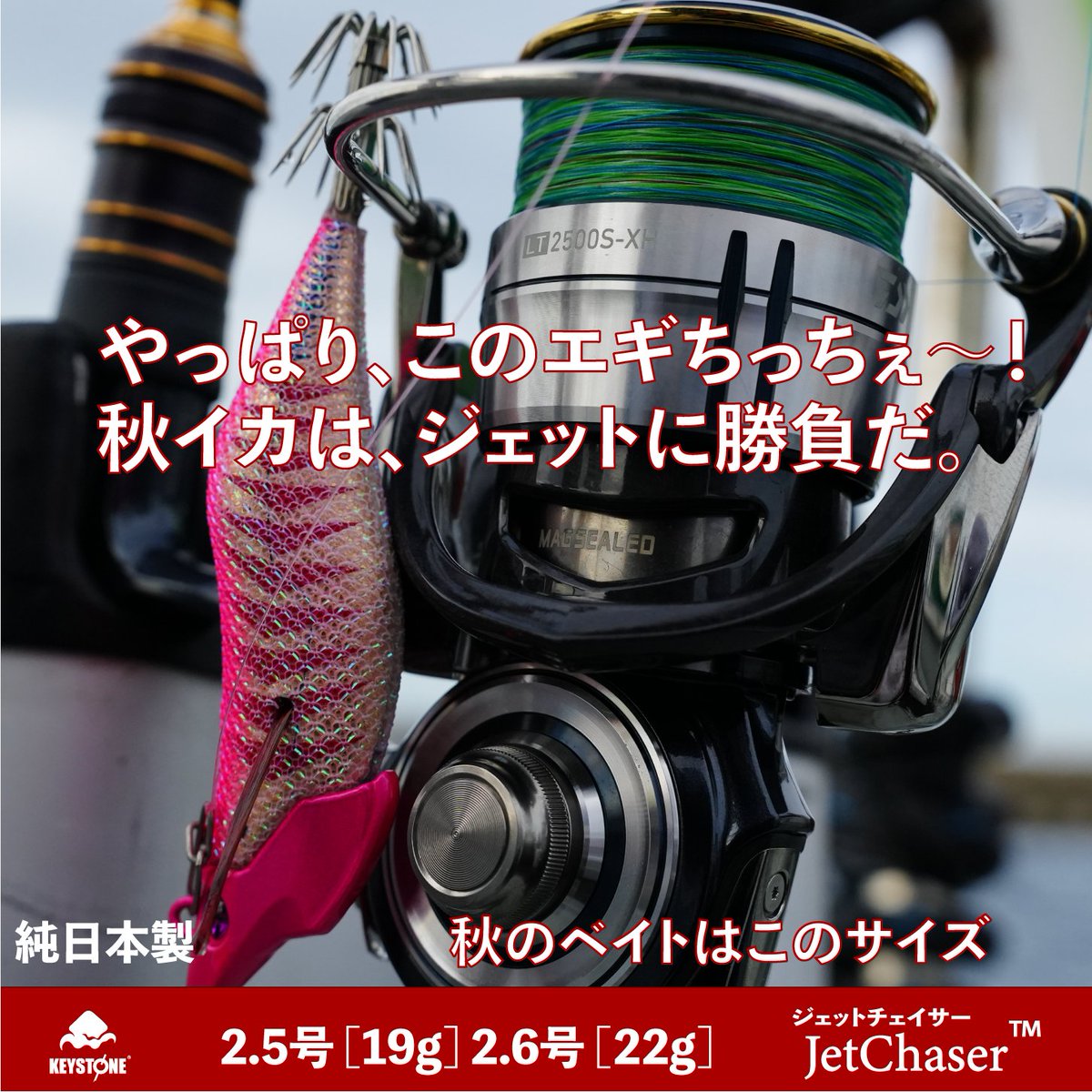 keystone_squid's tweet photo. 夏の終わりの良型は、チビでジェットな、これが効く。
名だたる船長が絶賛する『ジェットチェイサー』の素晴らしさを実感して頂くため、9/4~特別価格880円(税込)にて限定販売させて頂きます。
https://t.co/LLiHCvvW3h
#ジェットチェイサー #jetchaser #ティップランエギ #tiprun #ティップラン #ショアティップラン #ジェットエギングなう #キーストン #keystone #リボルト #REVOLT #硬質発泡ウレタン #純日本製 #squidjig