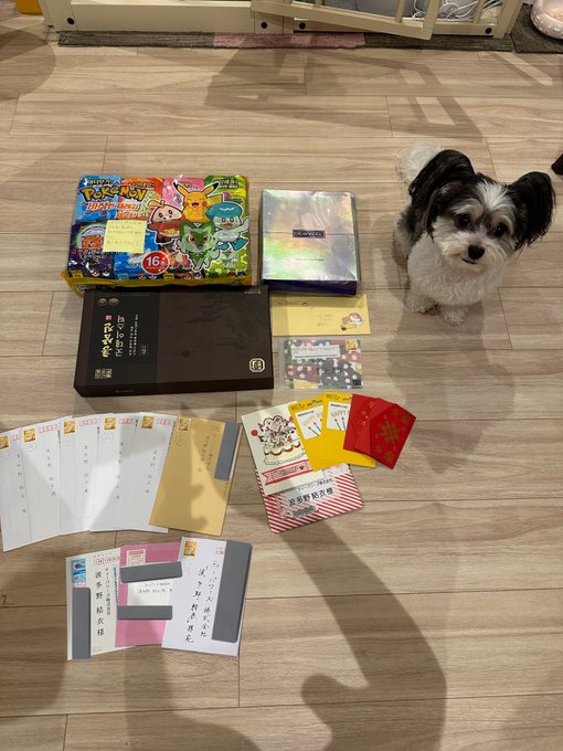 事務所に届いたプレゼントやお手紙届きました🥰❤️ 海外からもありがとう！🥺 ぐーちゃん明日誕生日なのでぐーちゃんへのプレゼントもありがとうね！🥺💓 喜んでおります☺✨ https://t.co/0y9