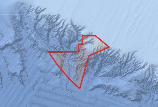 stmarys_patch's tweet image. Due to a late cancellation I have a space available on our British seabird expedition to the continental shelf edge 8th-17th September from Falmouth. £1600. 

A pioneering expedition with huge potential for rare seabirds &amp;amp; cetaceans. 

scottreid.scilly@gmail.com for more info!