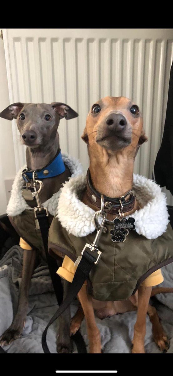 Roll on Saturday 9am!