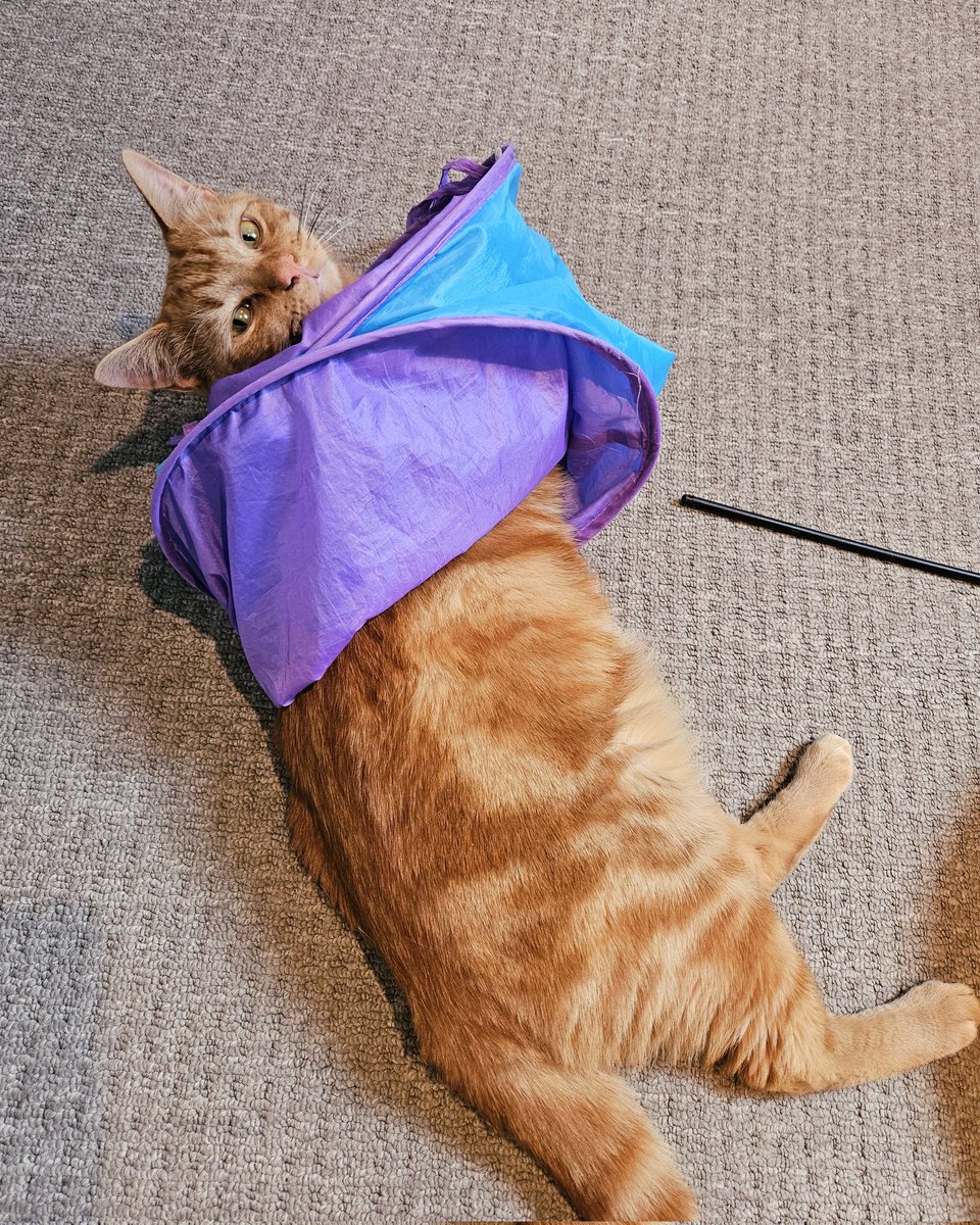 saye yuo can't sleeb,. babby ime gnoe.. 
is the me, spresso: )