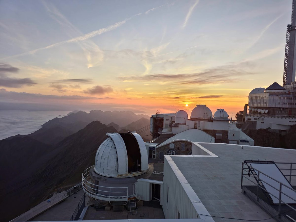 Alina Cristian tweet media