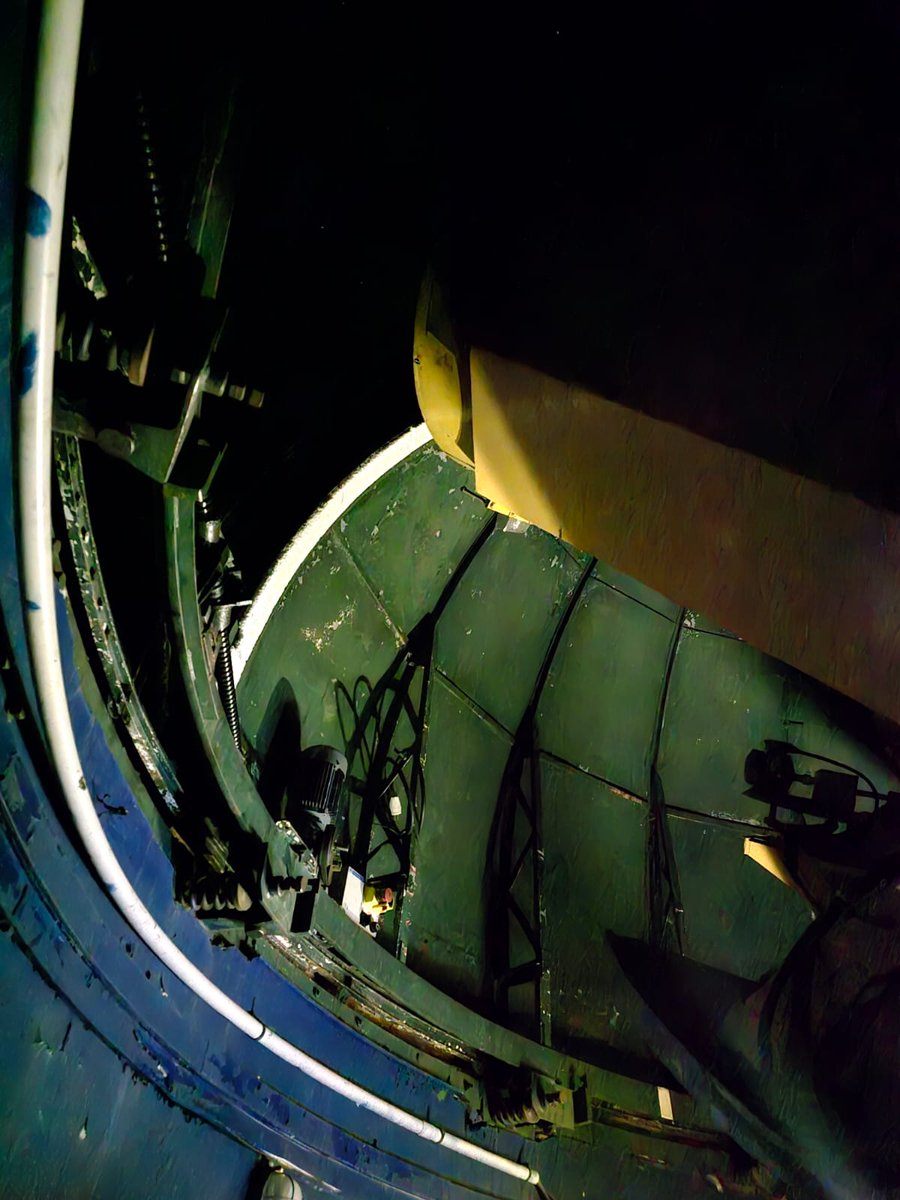 Alina Cristian tweet media