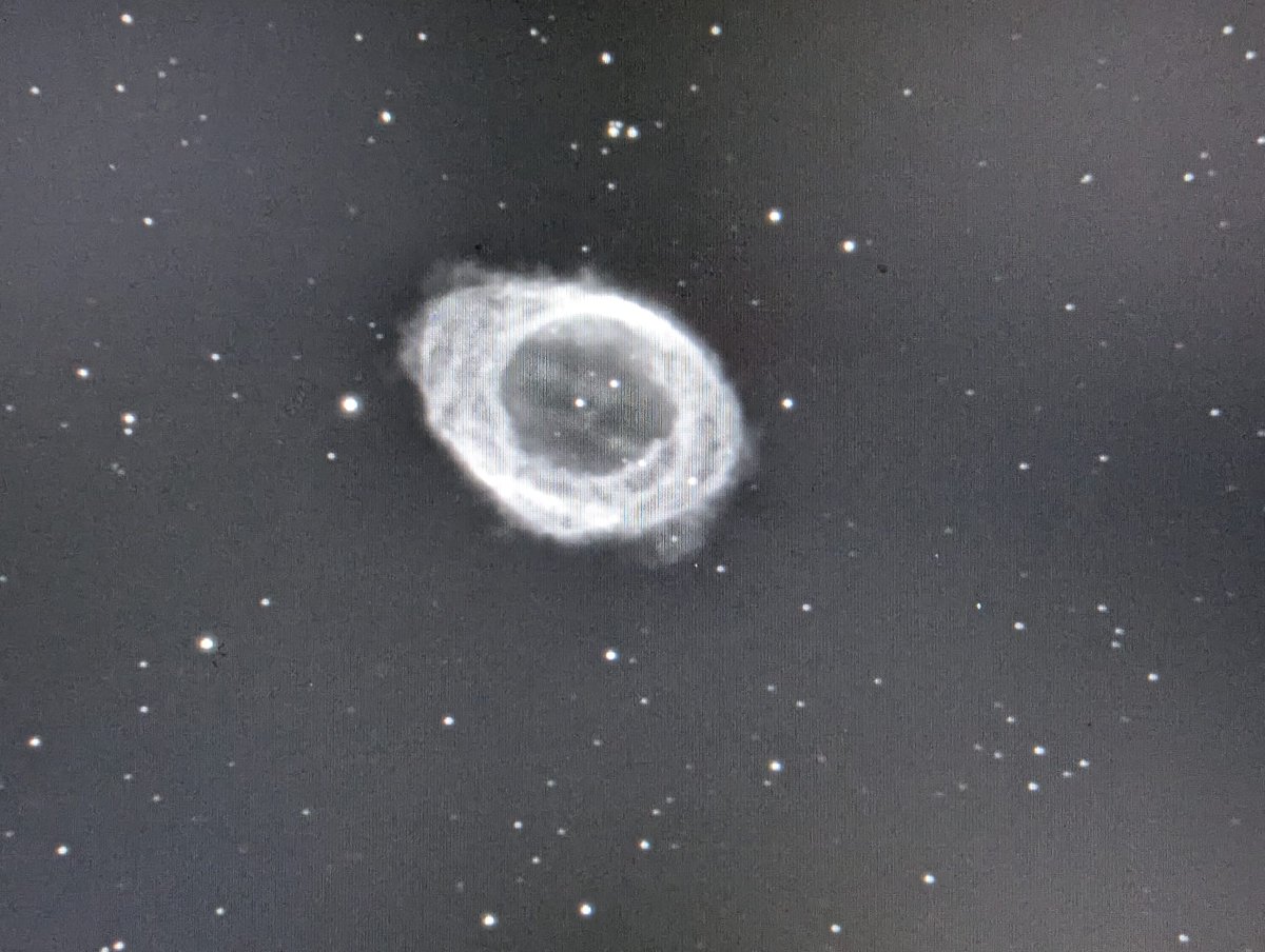 Alina Cristian tweet media