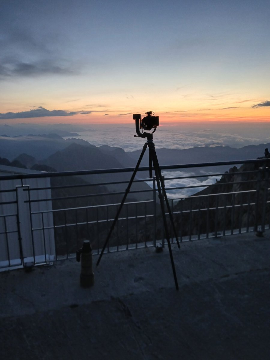 Alina Cristian tweet media