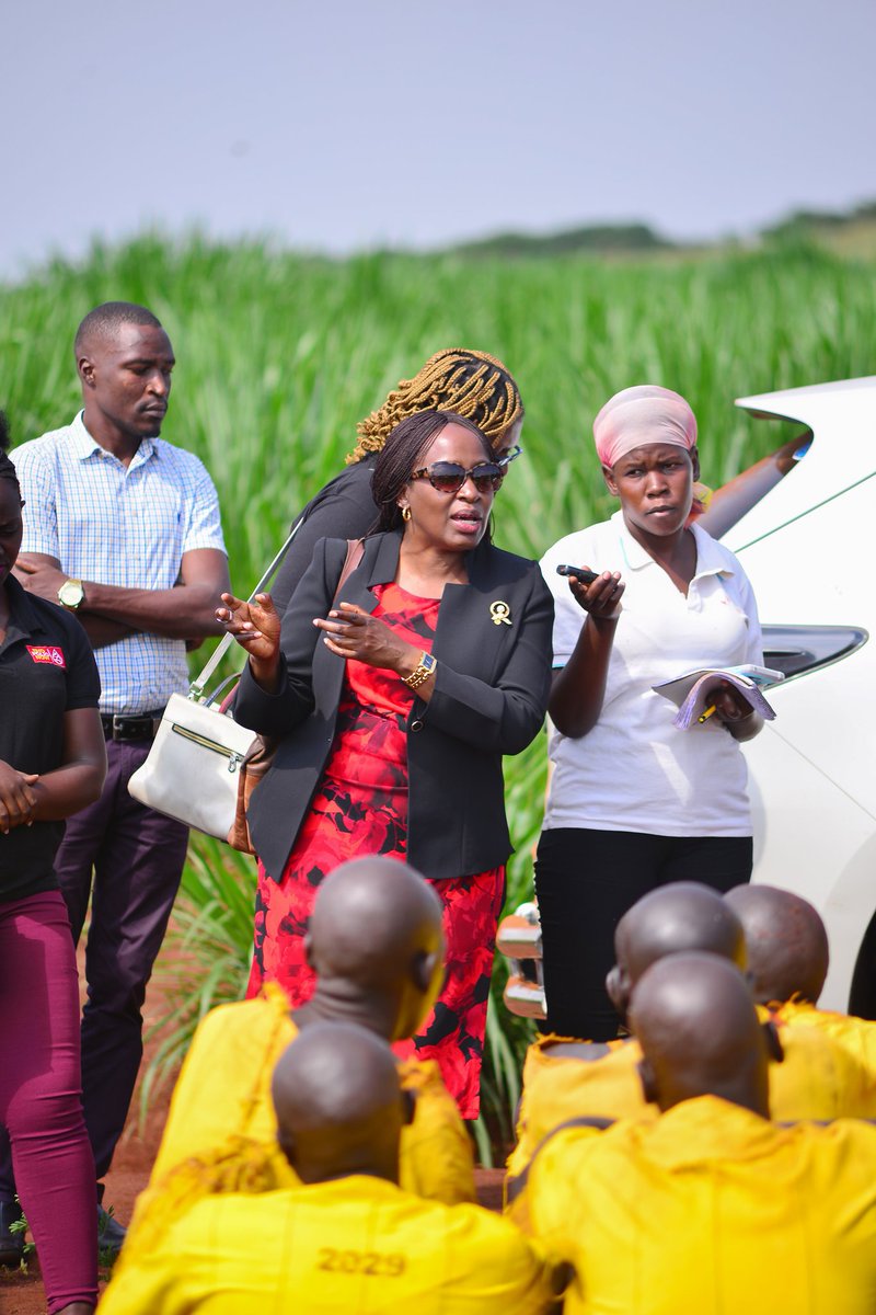 Rotary Club of Masindi D9213 tweet media