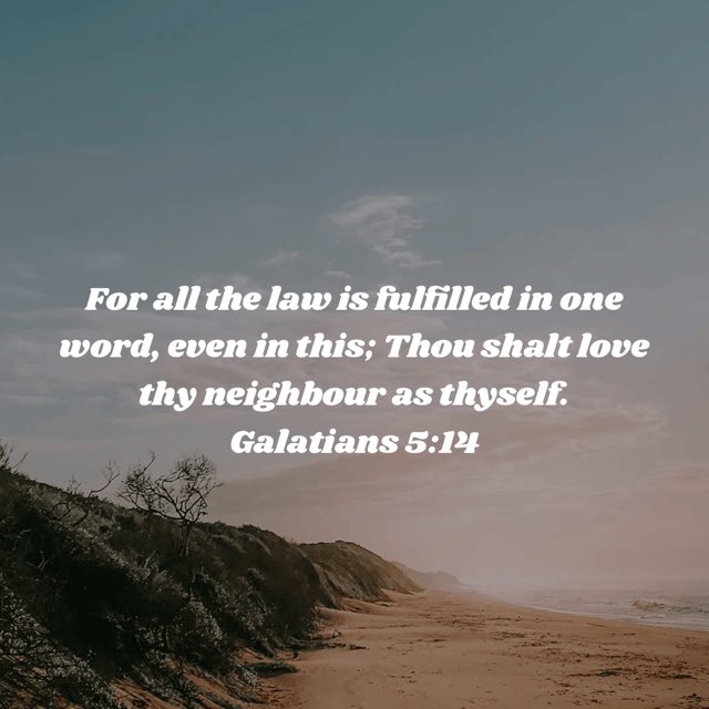 Good morning Patriots.  Have a blessed day. ❤️☕️❤️☕️