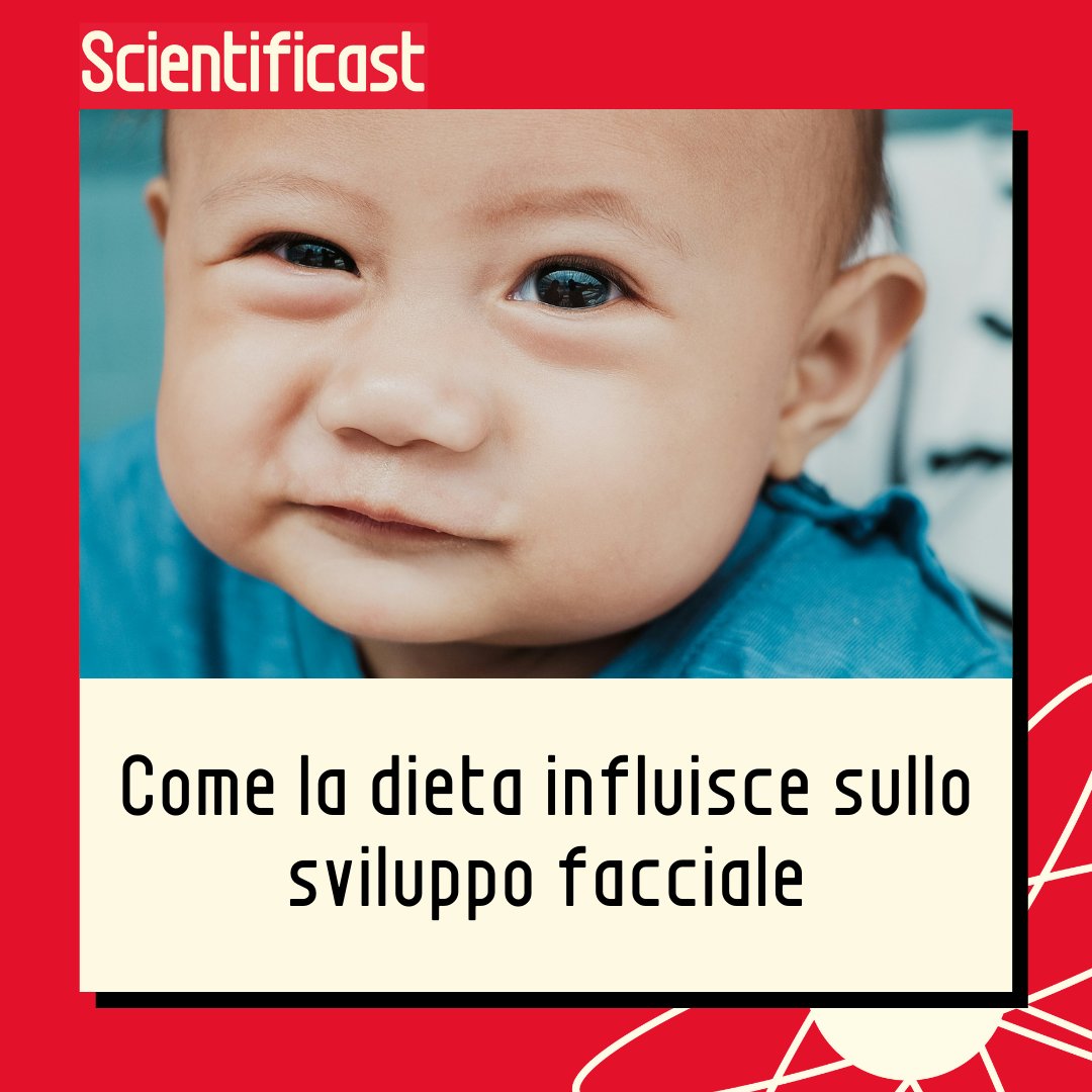 La dieta materna influisce sullo sviluppo facciale dei figli? 👉instagram.com/p/C7t_HL0NlAM/…

📷 Foto di Rainier Ridao su Unsplash

#bambini #sviluppo #embrione #dieta #genetica #neonati #gravidanza #curiositàscientifiche #scientificast #comunicazione #scienza #podcast #scienziati