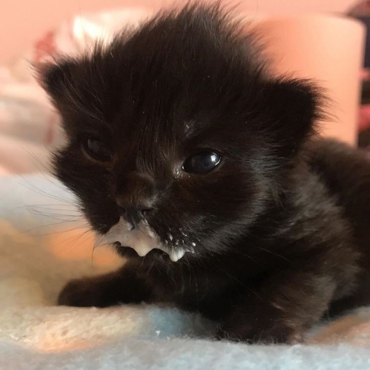 FriskTimesTwo's tweet image. Working a last week before a small break that's a week+ long :3