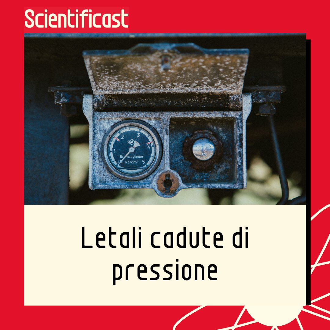 Cosa succede al corpo umano con una caduta rapida di pressione? 👉instagram.com/p/C9KBMrMtdcw/…

#biologia #pressione #cadutadipressione #embolia #decompressione #curiositàscientifiche #scientificastpodcast #scienziati

📷 Foto di Sandro Kradolfer su Unsplash