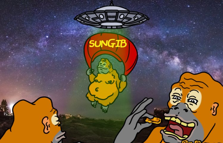 SUNGIB tweet media