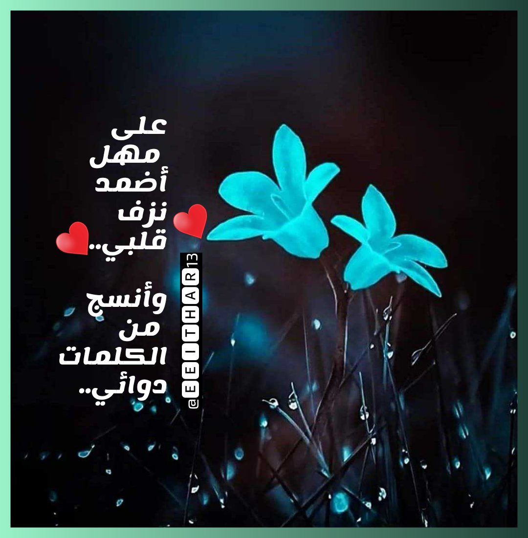 #على مهل أضمد نزف قلبي.. 
وأنسج من كلماتي دوائي.. 
#ظليل
#منتدى_زوايا_الأدبي٢ 
#اميره_ونوني_للدعم
#قروب_العراق_للدعم