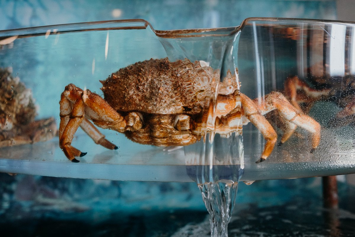 Unió d'Empresaris d'Hostaleria i Turisme CBC tweet media