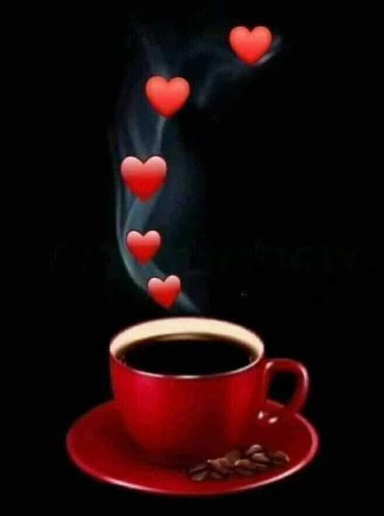 لاشيء يقتل روح الإنسان. ..مثل المكان الخطأ. .والأشخاص الخطأ.