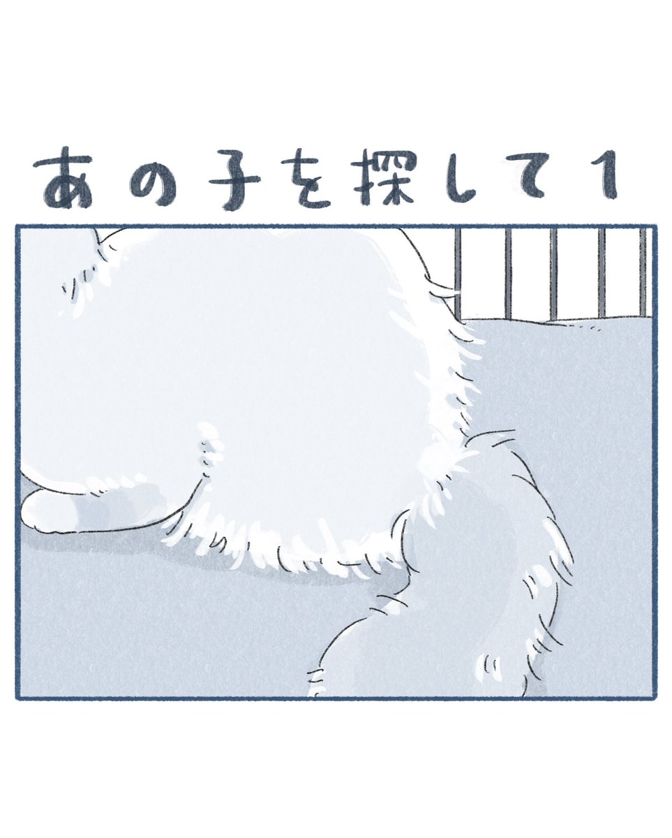 最愛のぽんずくんが旅立ち、 あの子に出会うまでのおはなしです。 あの 