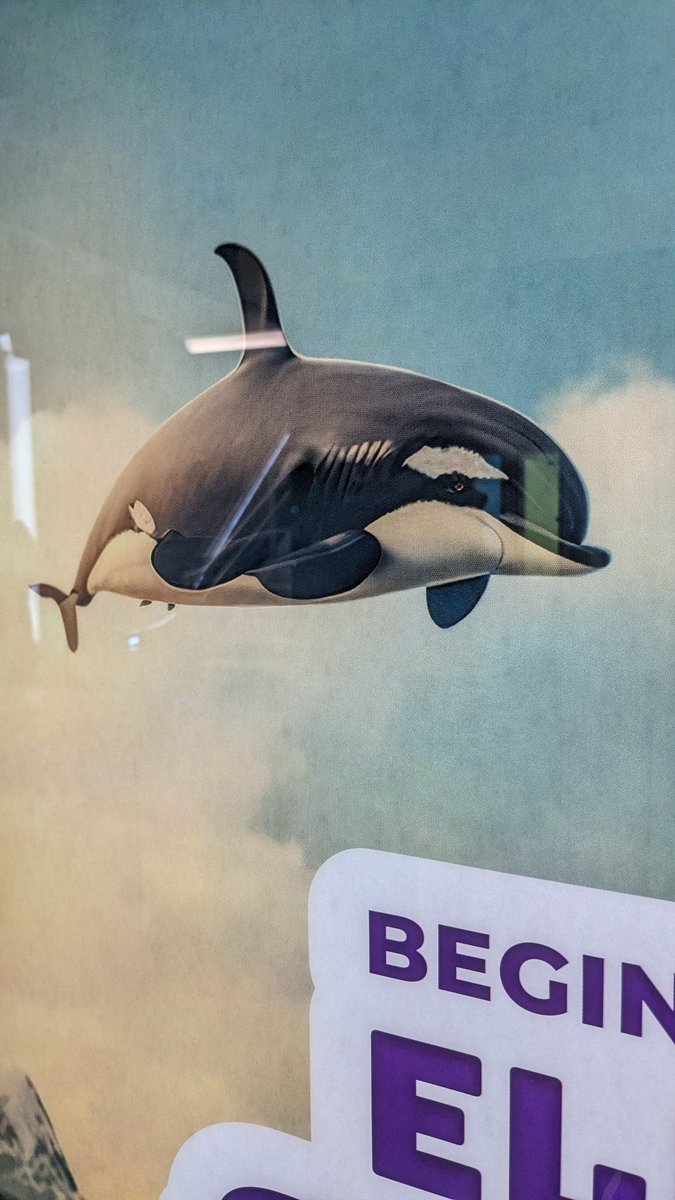 wilderwickie's tweet photo. We besteden het gewoon uit aan AI, wie gaat dat merken? 

Enter: een bioloog (of eender wie met common sense). "Wat is dit voor een kapotte orka-dolfijn-haai-hybride? Verlos het beest uit zijn lijden aub... "

Als dit je dromen zijn, is er toch iets serieus mis. https://t.co/8PyE2U4M89