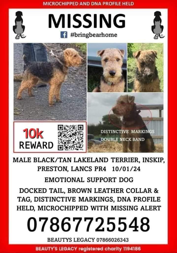 Beautys Legacy registered charity 1194186 tweet media