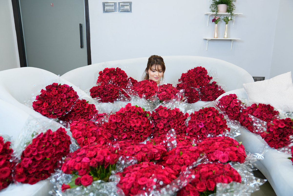 UrvashiRautela's tweet photo. 1 LAC 1,00,000 LUXURY ROSES 🌹FROM MY DIEHARD FANS WISHING SPEEDY RECOVERY ❤️‍🩹 #ILOVEUALL

  #love #UrvashiRautela #UR1 #UR7 #tollywood #bollywood #hollywood #paris #olympics #cricket #rose https://t.co/eoxlEMGSnU