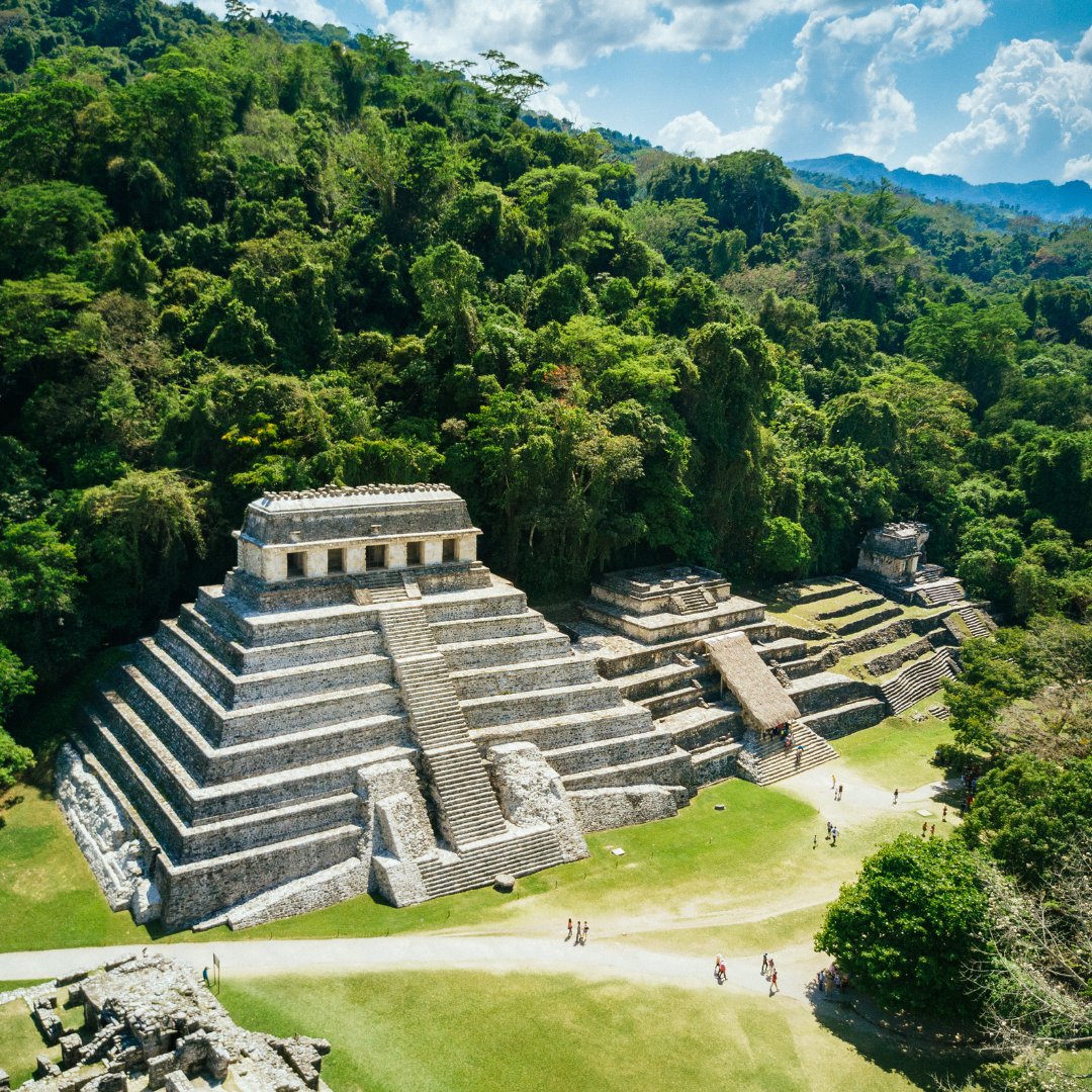 ideexviaggiare's tweet photo. 🏛️ #Palenque, gemma archeologica nel cuore del #Messico, svela la grandezza della civiltà #Maya con #templi maestosi e intricati bassorilievi. Un #viaggio nel tempo tra #storia e mistero, dove la #giungla custodisce antichi segreti. 🌿
Scopri di più: https://t.co/gm4dE4nTX2 https://t.co/PTasrGIeC4