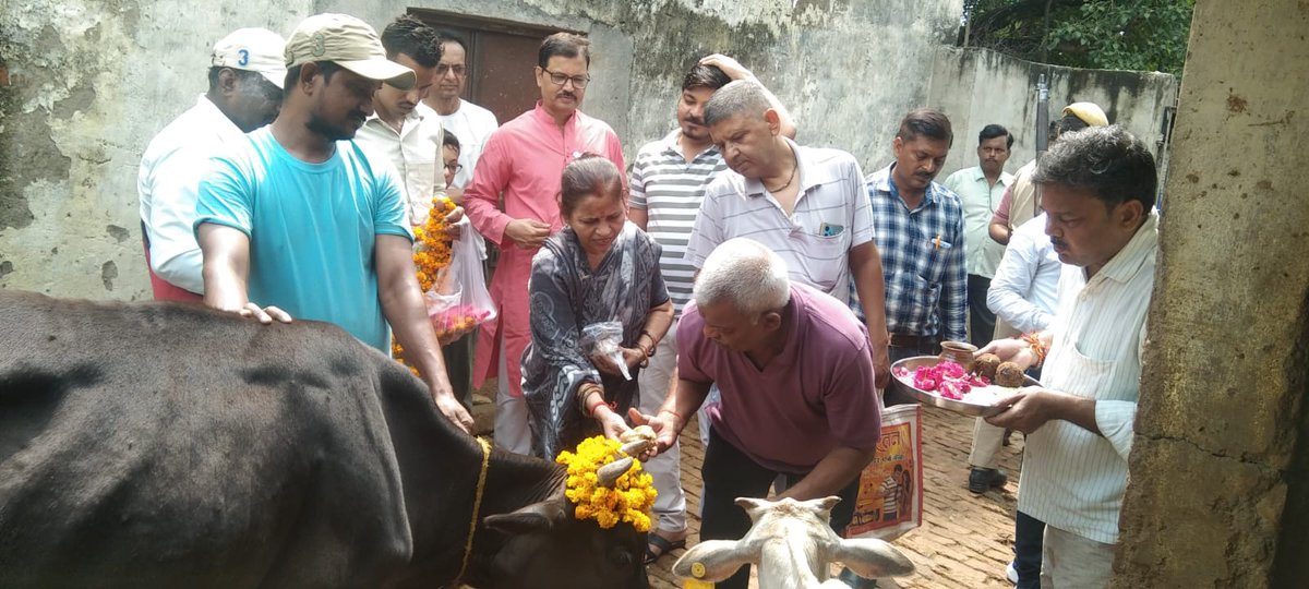 NPPBindki's tweet photo. नगर पालिका के #कांजी_हाउस गौ आश्रय स्थल में @sdmbindki की उपस्थित में की गयी साथ में मा० अध्यक्ष महोदय एवम पालिका के 
कर्मचारियो द्वारा गौवंशो की पूजा की गयी 
@ngarvikasup
@dmfatehpur 
@SwachhBharatGov 
@CMOfficeUP https://t.co/WjyQwd4G62